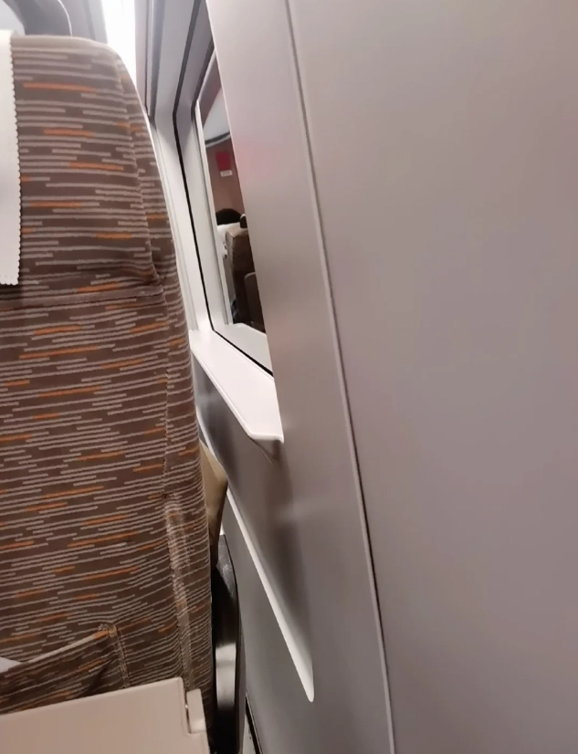 china domestic flight check-in