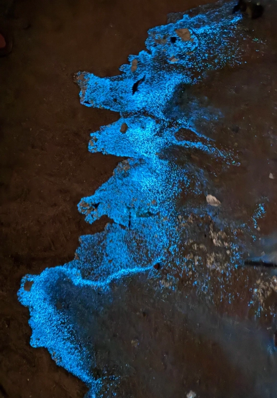 blue tears pingtan island blue tears pingtan island