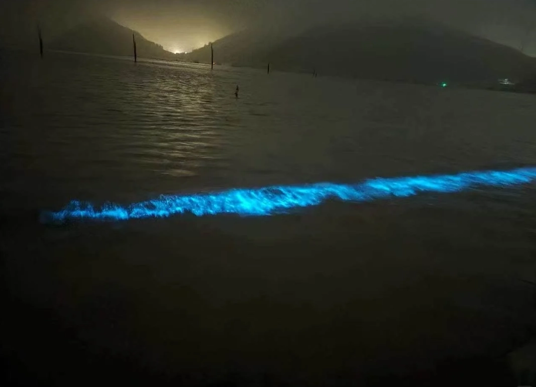 Pingtan Island bioluminescence Pingtan Island bioluminescence