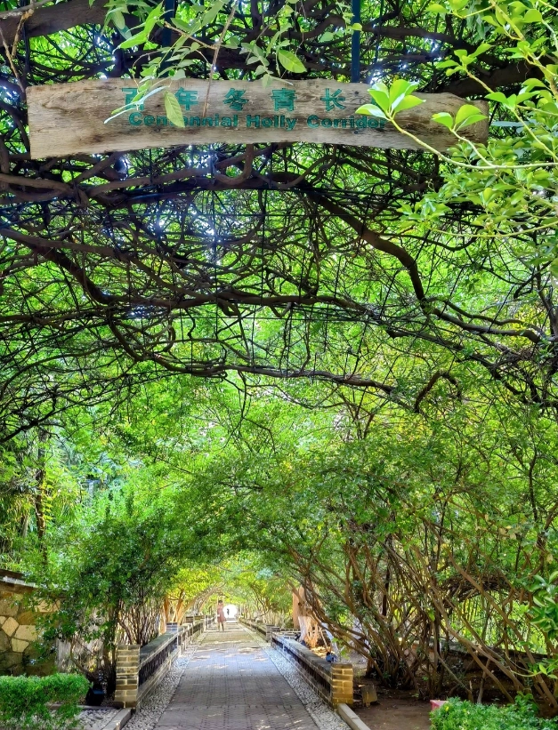 Yantai Mountain sunset spots