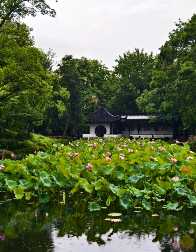 Suzhou garden guided tour Suzhou garden guided tour