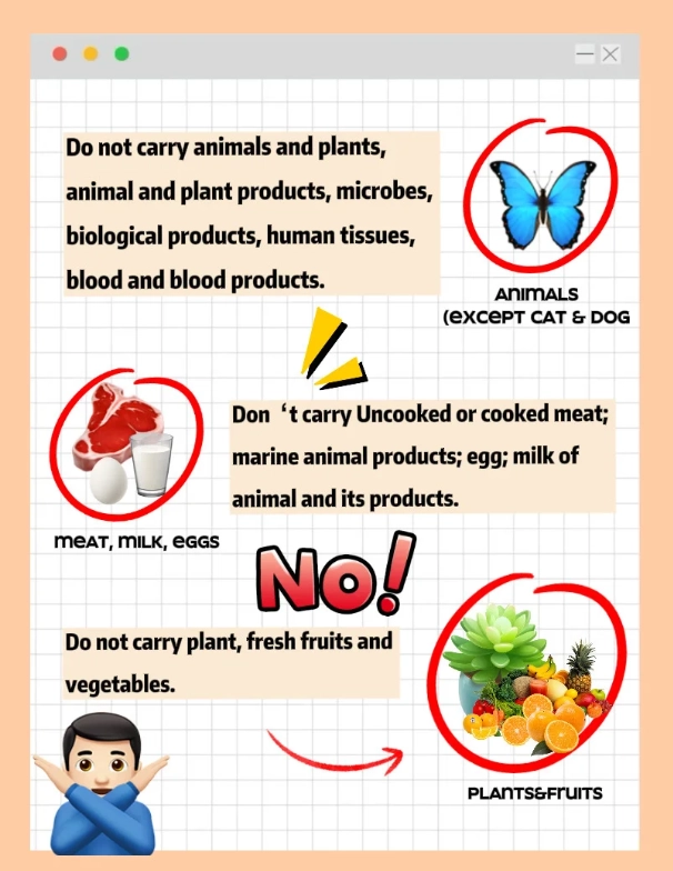 what is not allowed in china