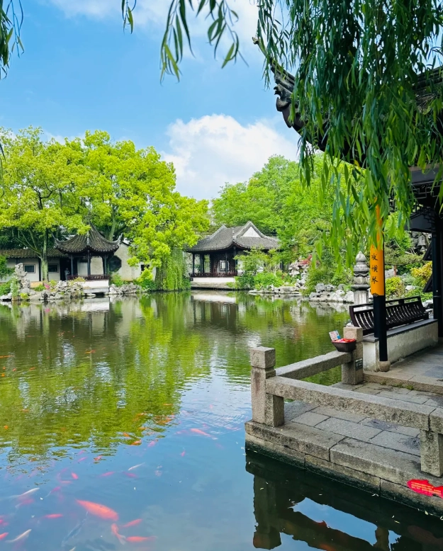 Tongli Water Town Photography Spots: Best Angles & Light Tips