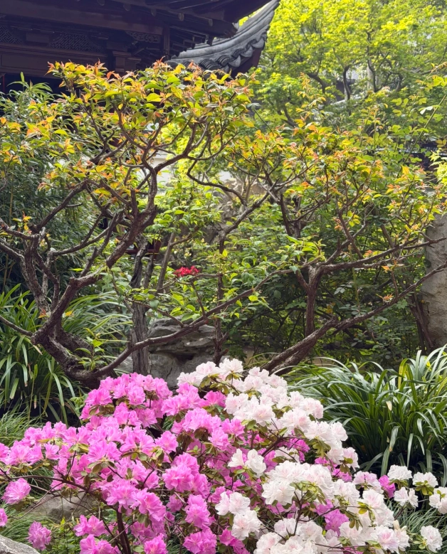Yu Garden tour tips Yu Garden tour tips