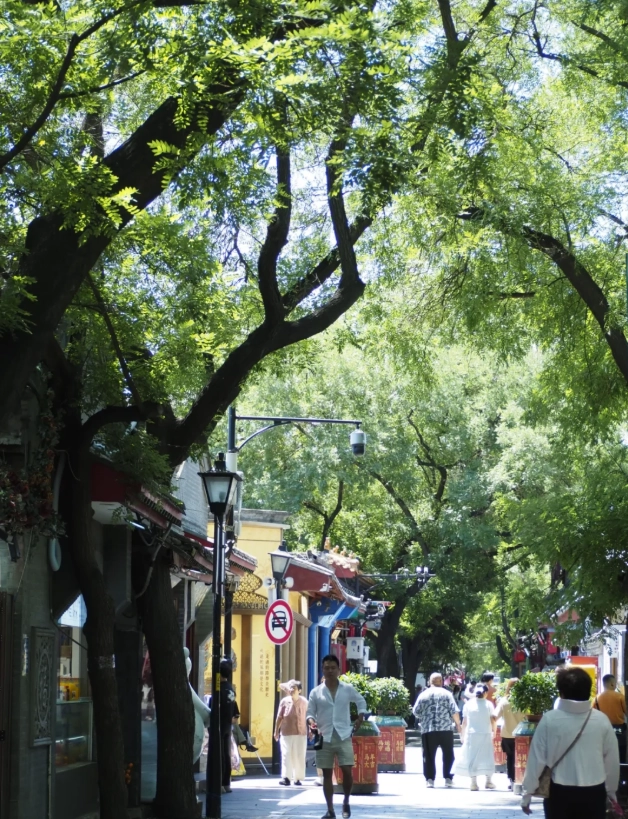 Nanluoguxiang walking tour
