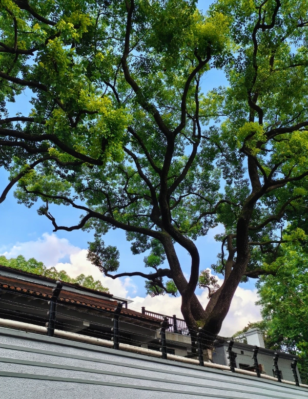 Wukang Road cafes Wukang Road cafes
