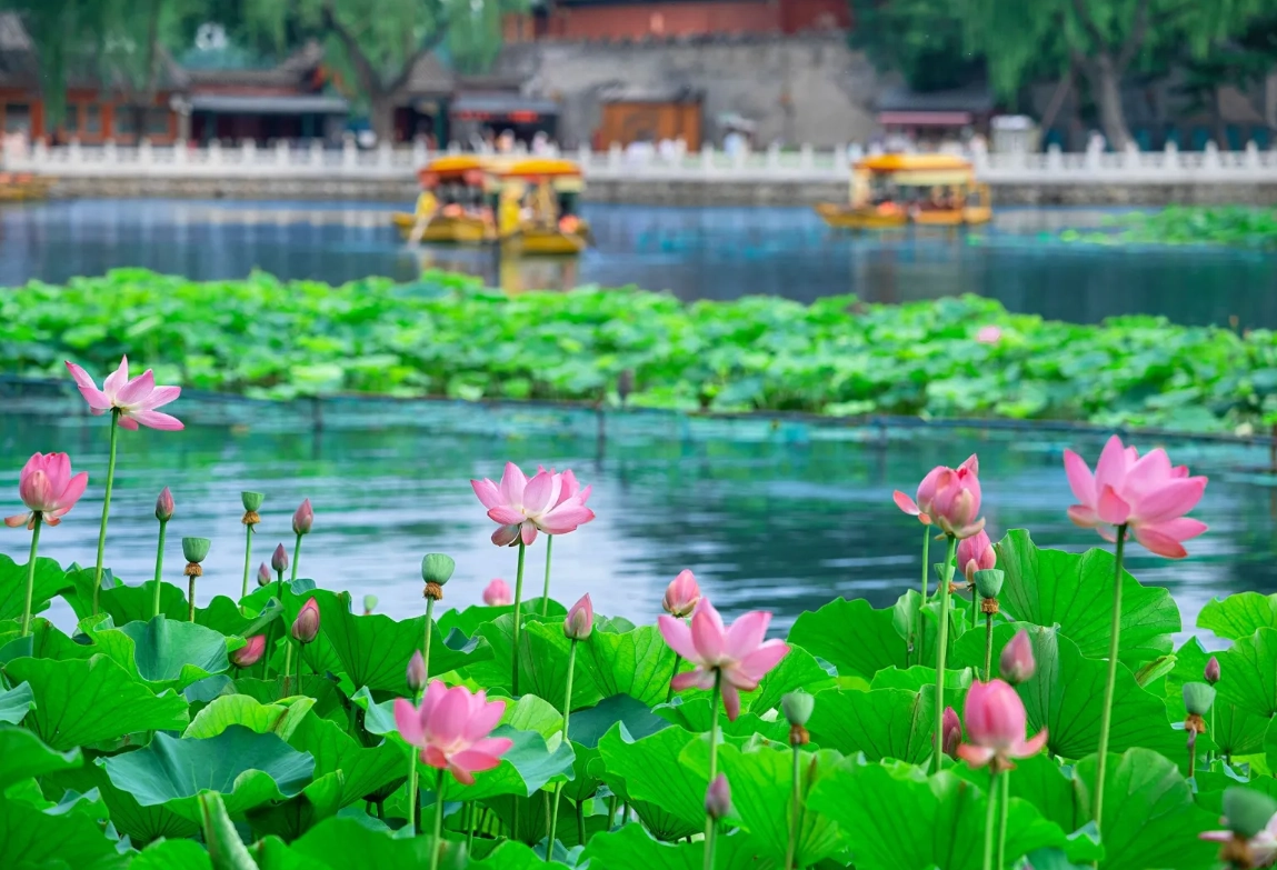 Beihai Park guided route