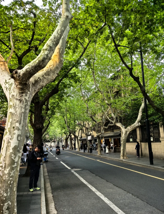 when to go wukang road
