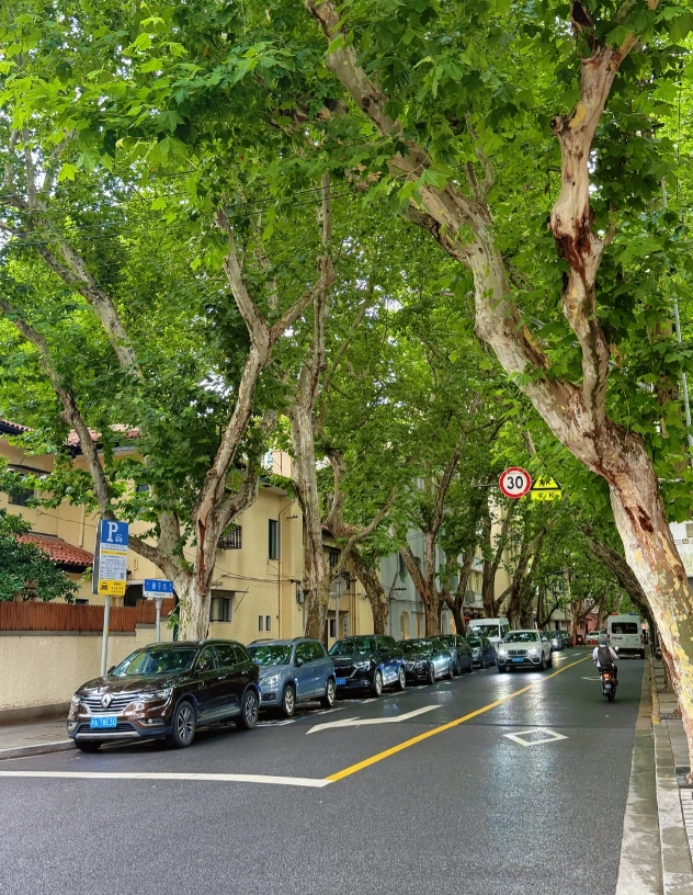 best photo spots Wukang Road best photo spots Wukang Road