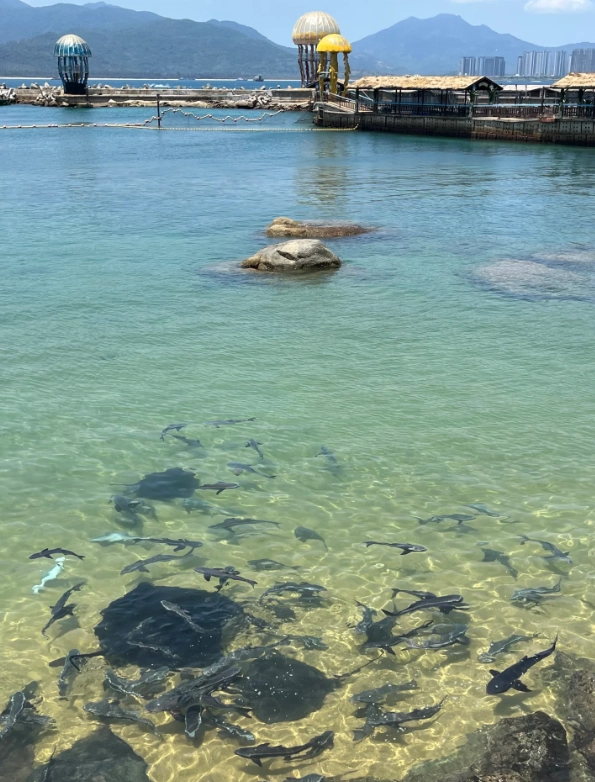 Wuzhizhou diving booking Wuzhizhou diving booking