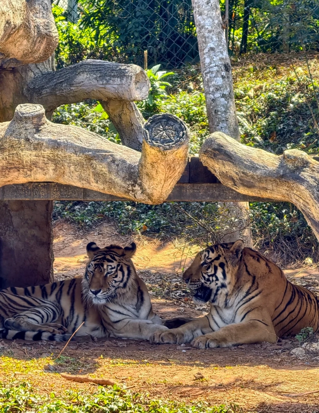 Hainan Tropical Wildlife Park navigation Hainan Tropical Wildlife Park navigation