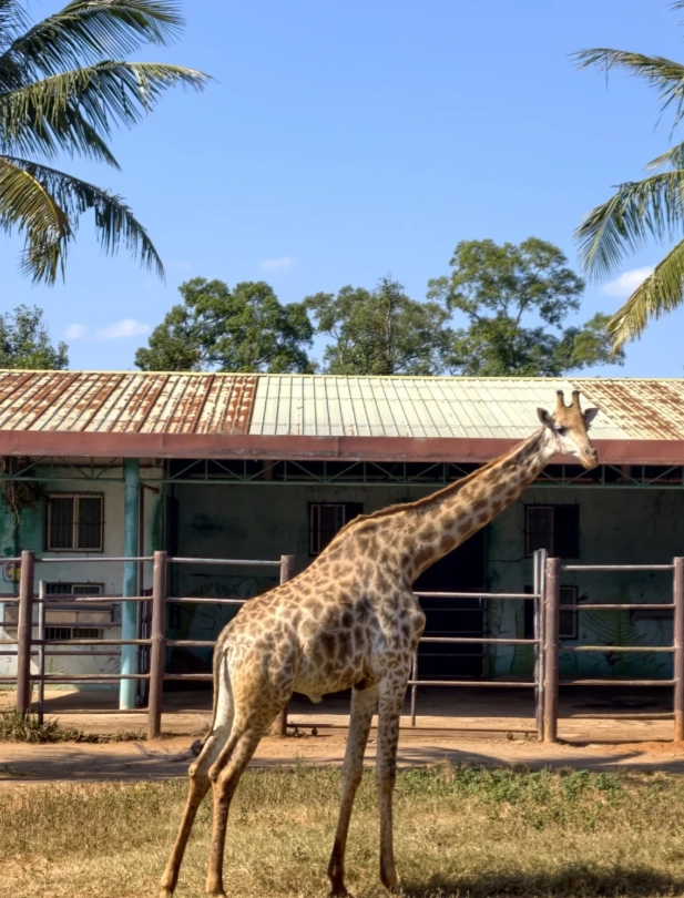 Hainan Tropical Wildlife Park Map: Navigate Like a Pro