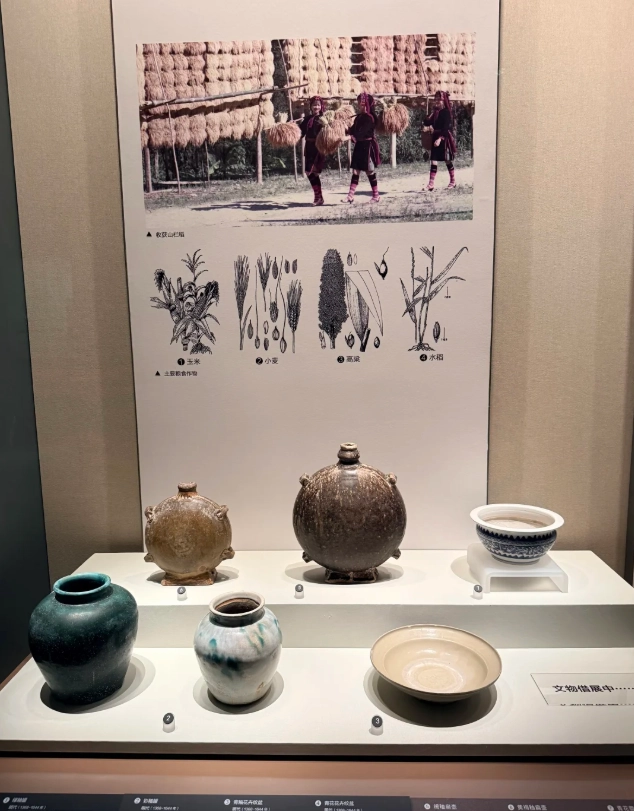 Hainan cultural museum Hainan cultural museum