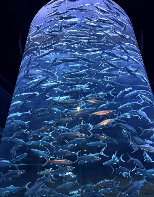 Ocean Park Hong Kong guide Ocean Park Hong Kong guide