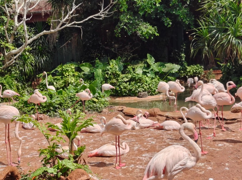 Hainan travel guide Hainan travel guide