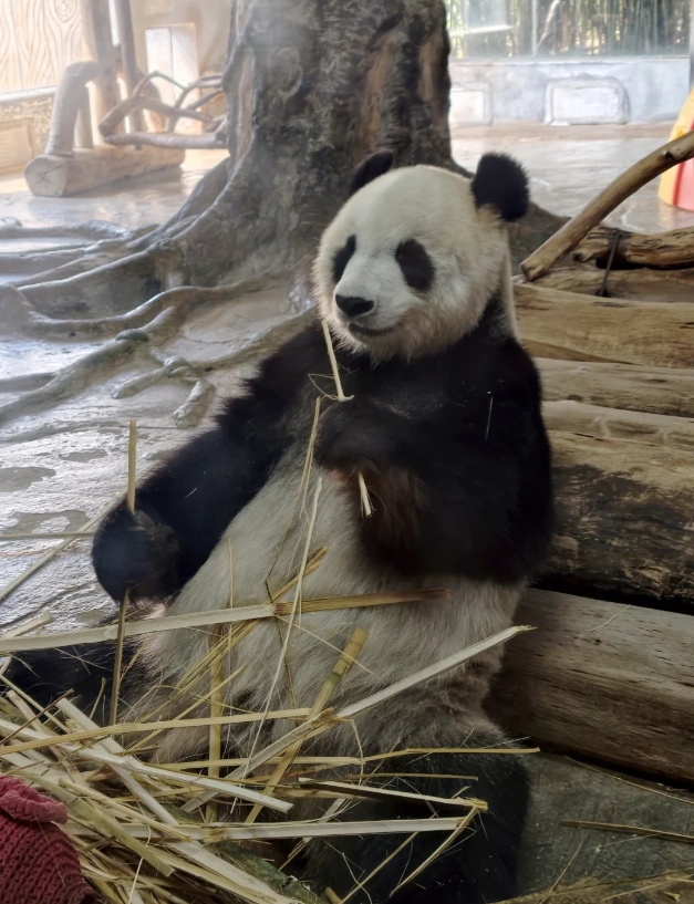 Haikoo zoo tickets Haikoo zoo tickets