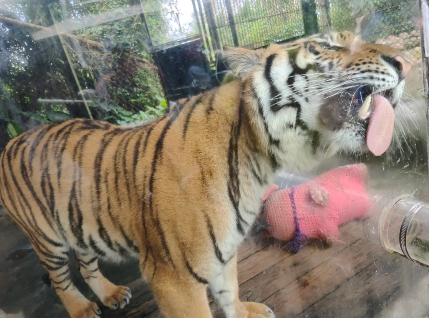 Hainan Tropical Wildlife Park tickets Hainan Tropical Wildlife Park tickets