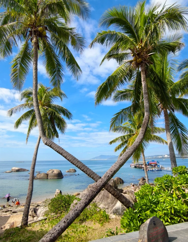 Tianya Haijiao Map: Insider Tips for a Stress-Free Visit