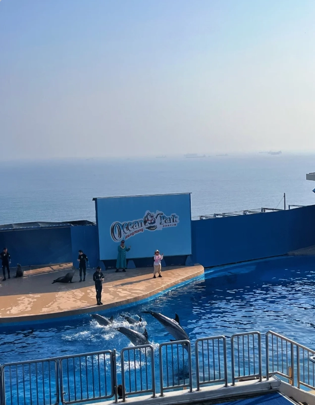 Ocean Park English speaking Ocean Park English speaking