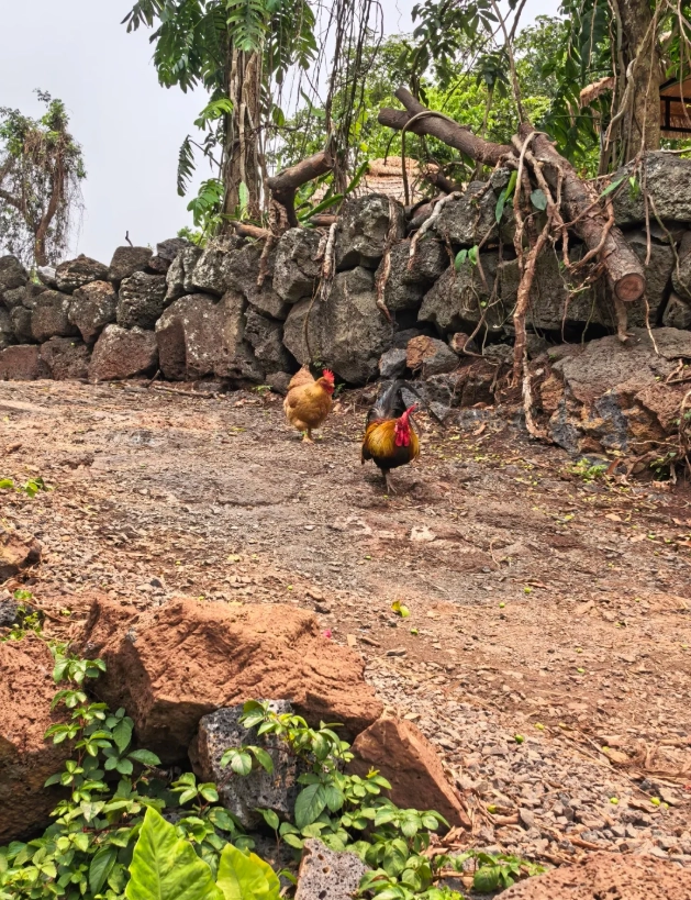 haikou volcanic cluster geopark itinerary