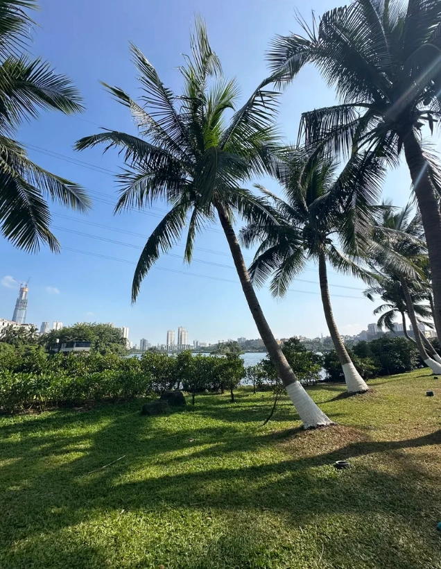 How to Get to Holiday Beach Haikou: Skip the Tourist Traps