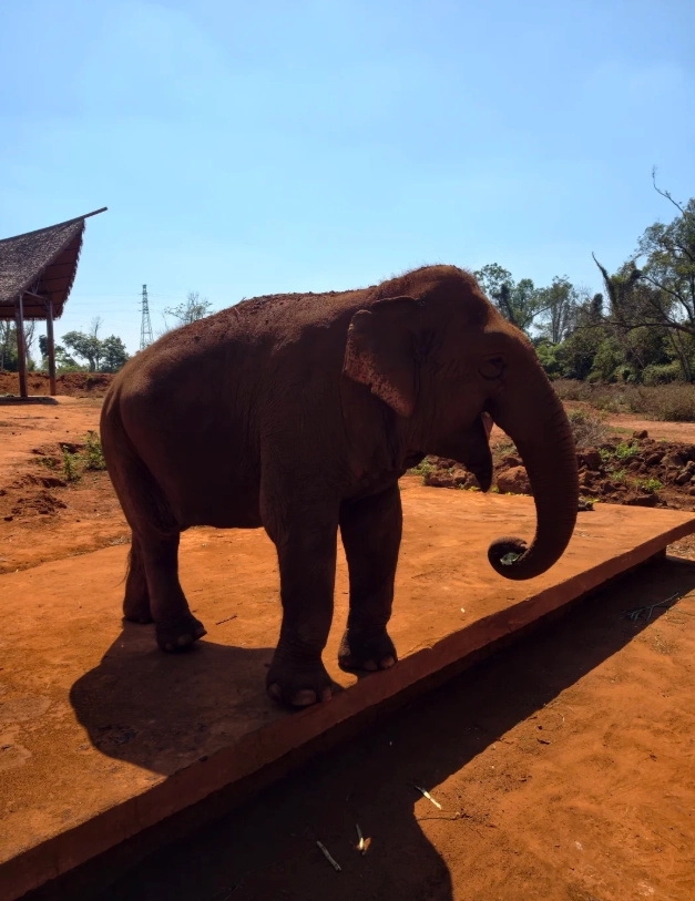 hainan wildlife park weather hainan wildlife park weather