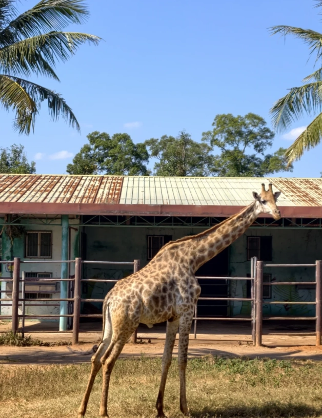 Best Time to Visit Hainan Tropical Wildlife Park: Avoid Crowds & Heat