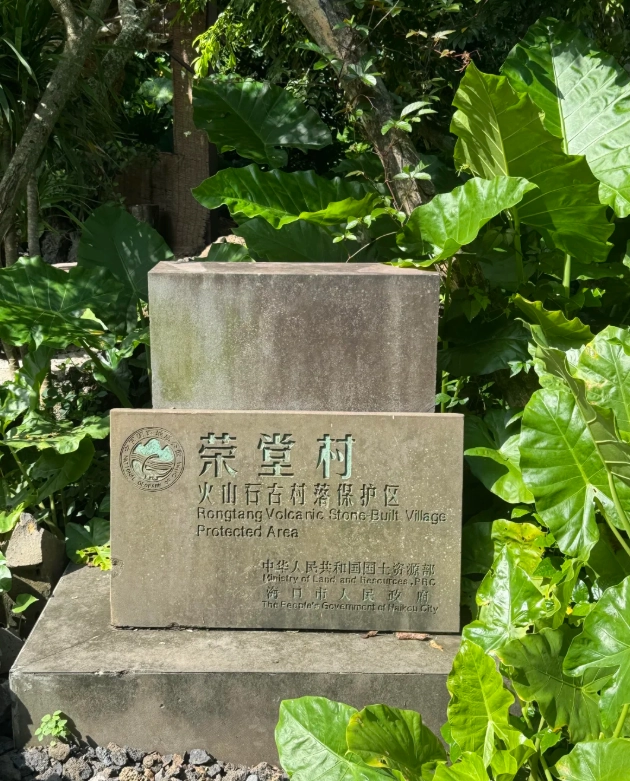 Haikou hidden gems: Discover the city's real soul beyond the tourist trail