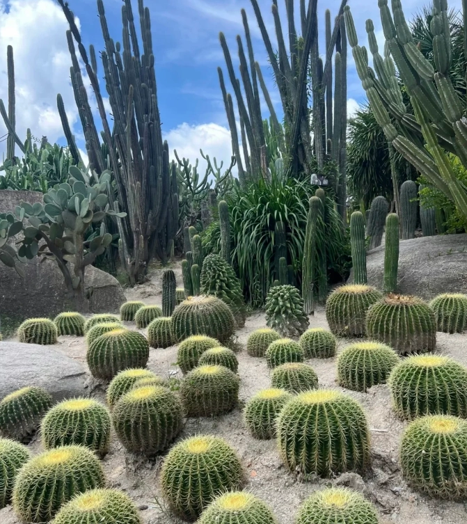 Xiamen Botanical Garden tips Xiamen Botanical Garden tips