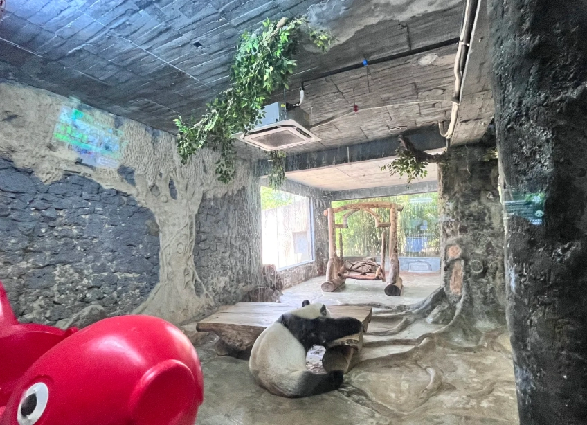 hainan wildlife park best time to visit hainan wildlife park best time to visit