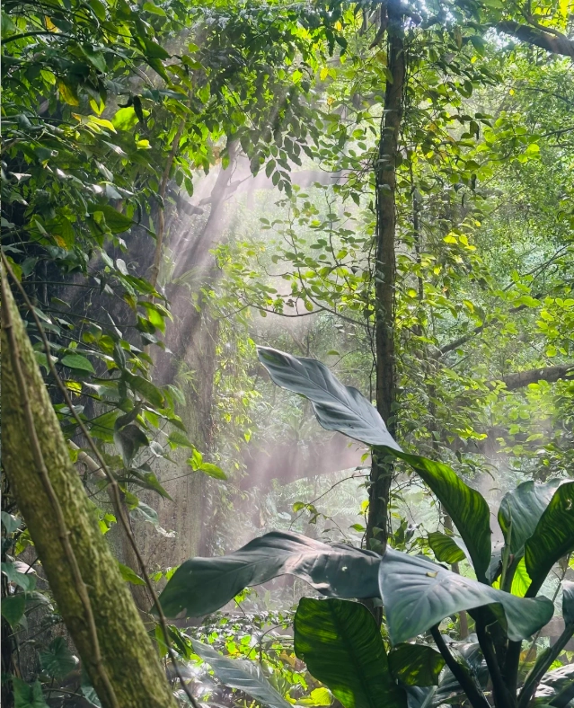 Xiamen Botanical Garden Map: Skip the Crowds & Find Hidden Gems