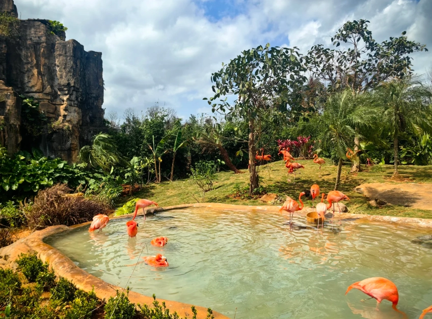 Hainan Tropical Wildlife Park: How to Get There Easily