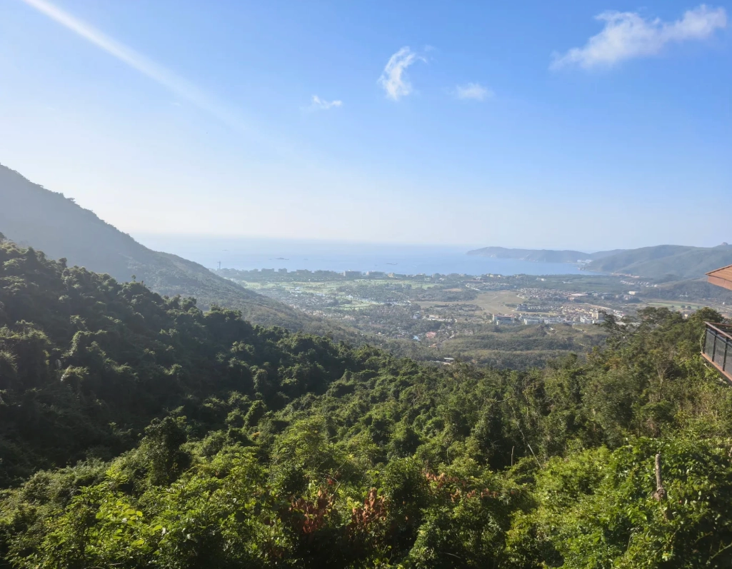 Yalong Bay Tropical Paradise Forest Park: Best Combo Itinerary & Tips