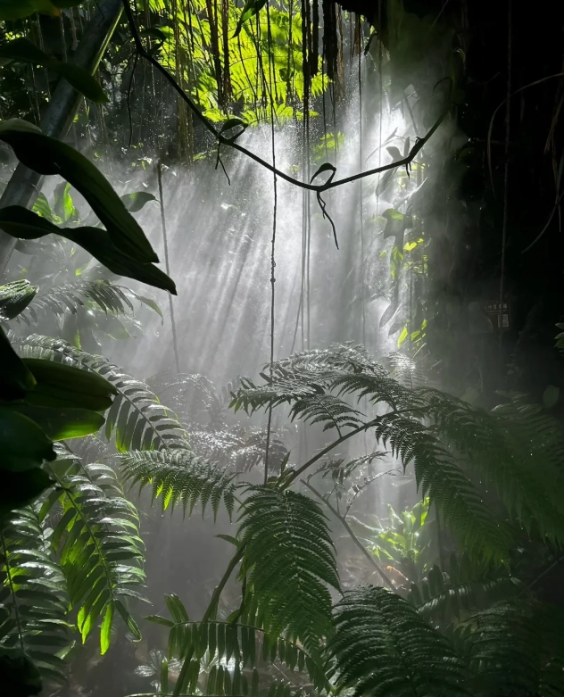 Xiamen Botanical Garden: A Realistic Look at Whether It's Worth Your Time