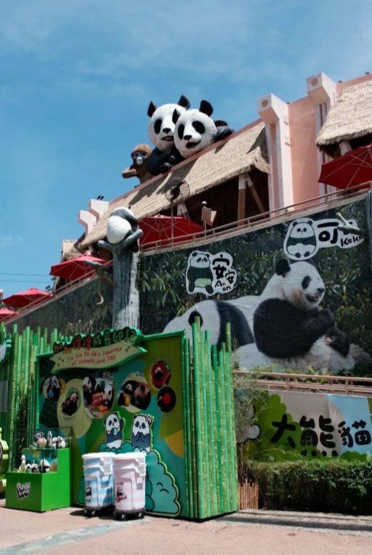 Best Time to Visit Ocean Park Hong Kong: Skip the Lines & Peak Heat