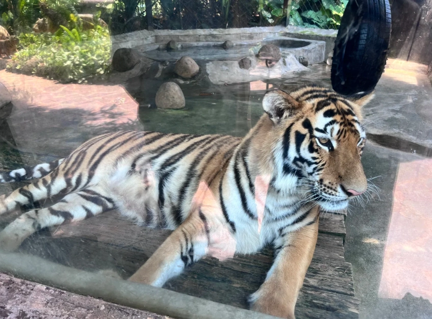 how to get to hainan tropical wildlife park how to get to hainan tropical wildlife park