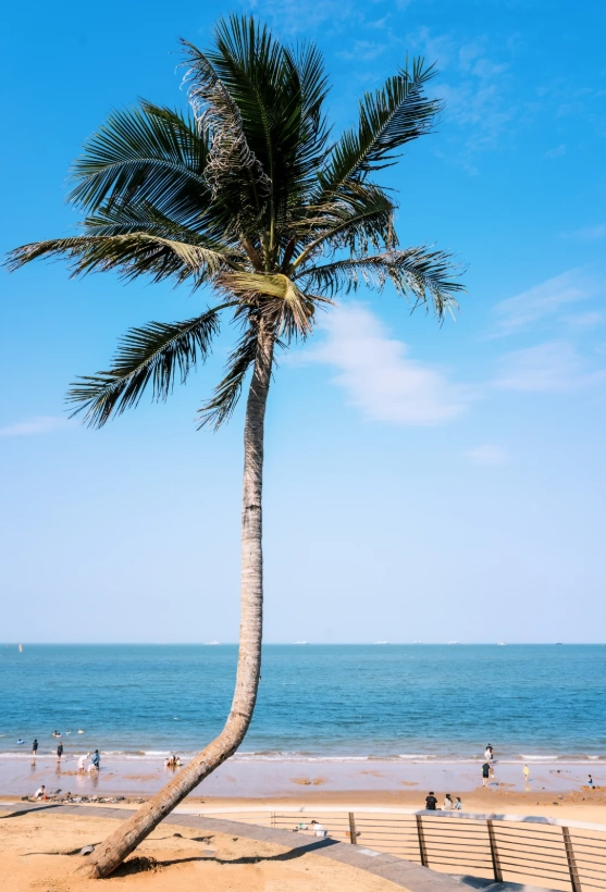 Haikou itinerary customization Haikou itinerary customization