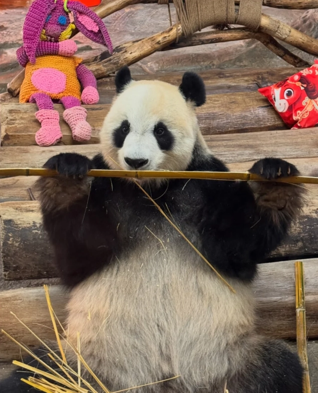Hainan animal park