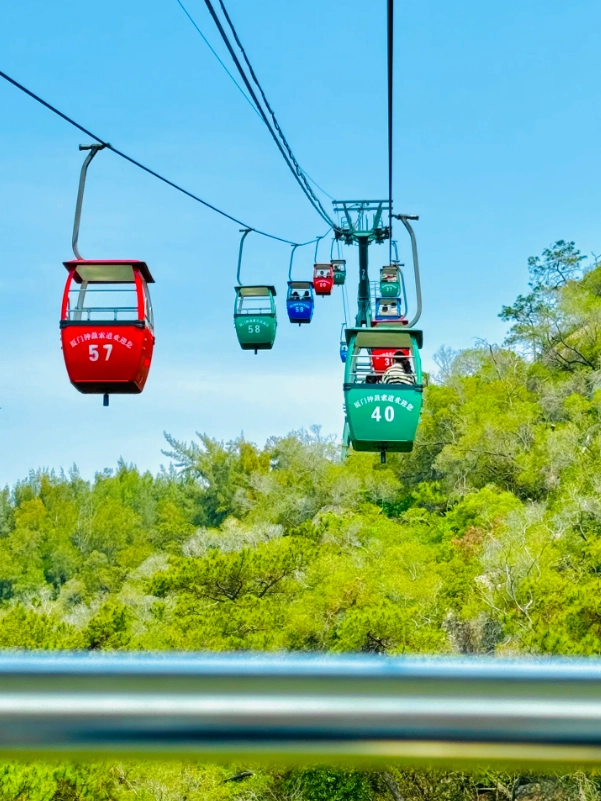 Xiamen Botanical Garden Cable Car: Ride Above the Trees, Skip the Crowds