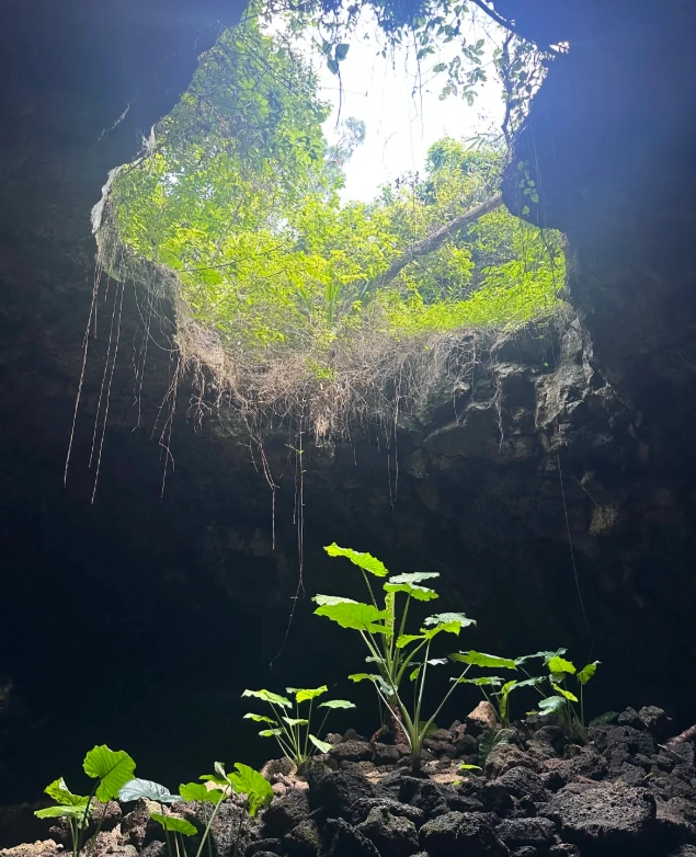 best trails haikou volcano best trails haikou volcano
