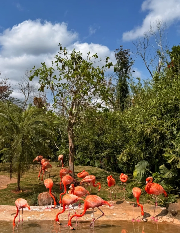 Hainan family attraction