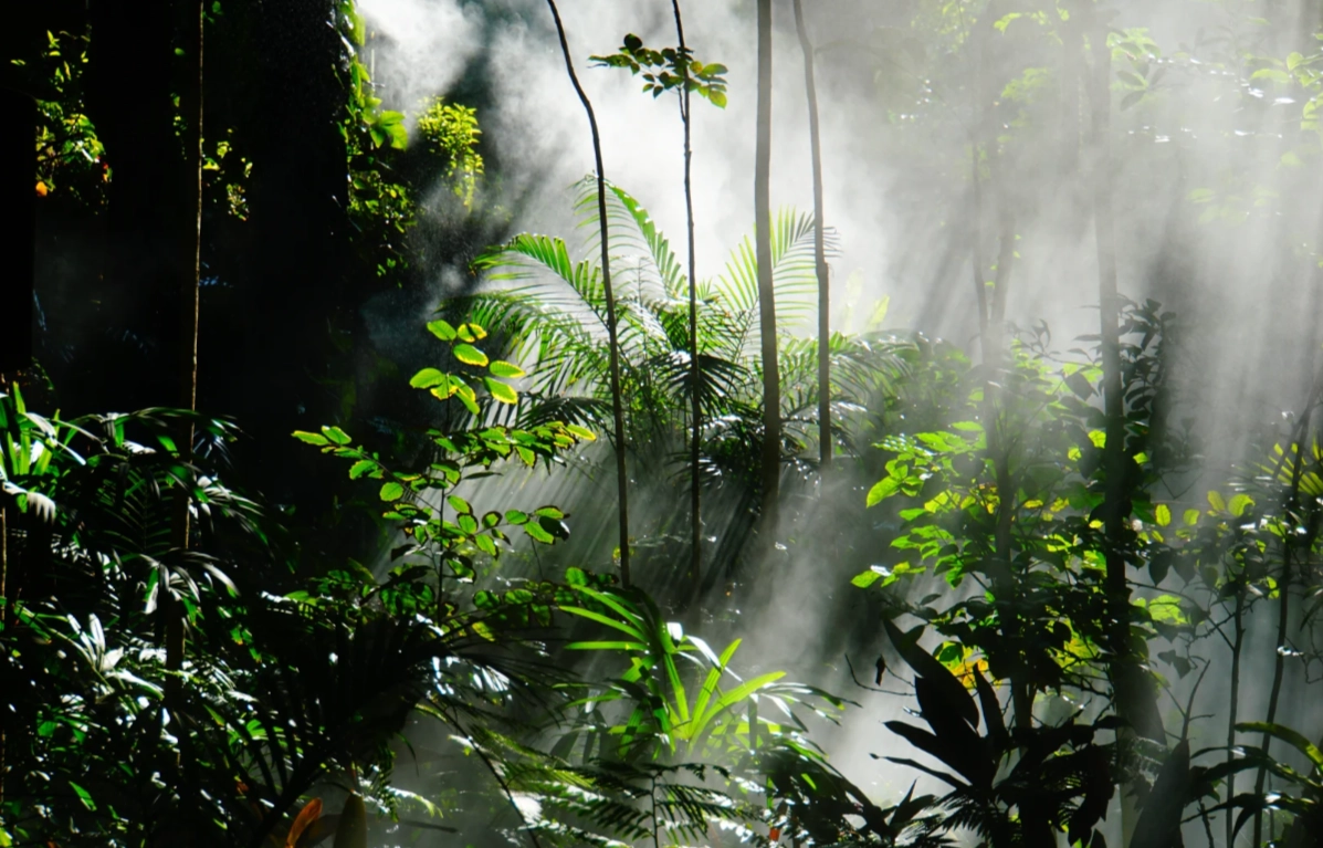 Xiamen Botanical Garden English Guide: Skip the Crowds & See the Real Beauty