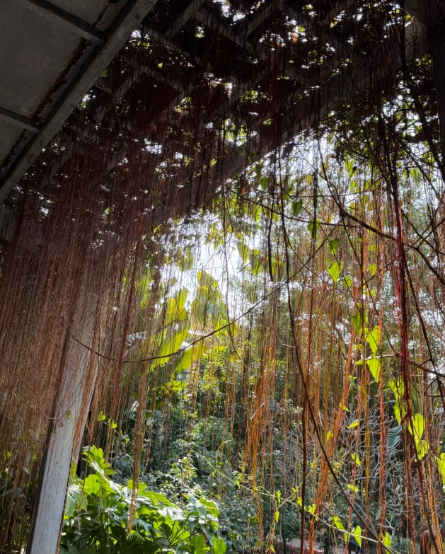 best time to visit xiamen botanical garden best time to visit xiamen botanical garden