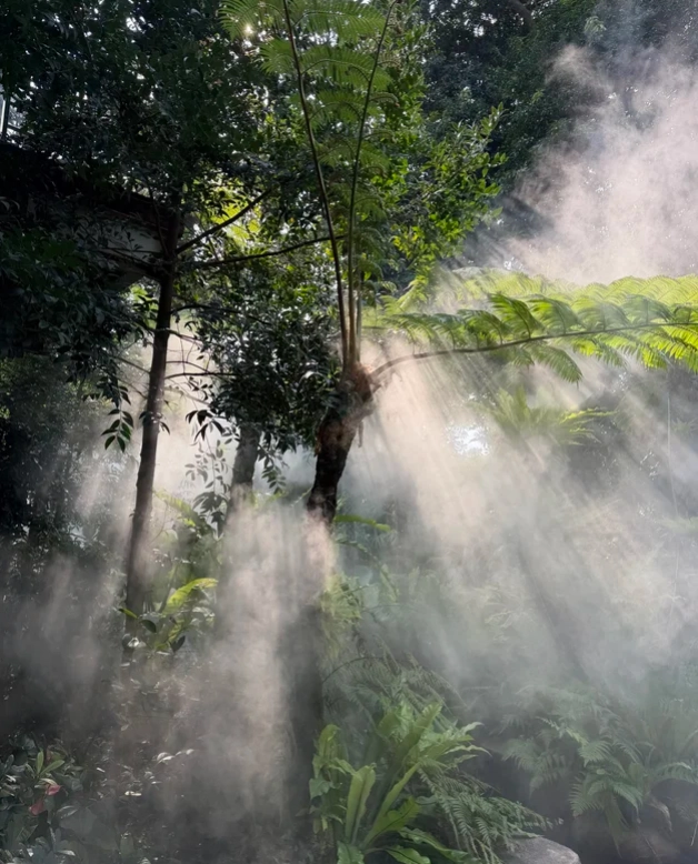 xiamen botanical garden tickets xiamen botanical garden tickets