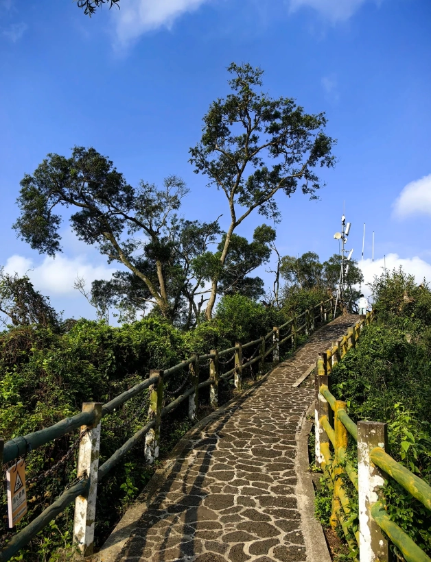 Haikou Volcanic Cluster Global Geopark: Skip the Tourist Traps on Your Way