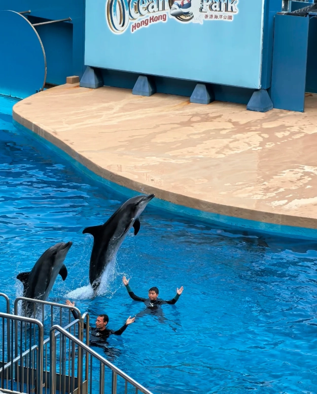 Ocean Park Instagram spots Ocean Park Instagram spots