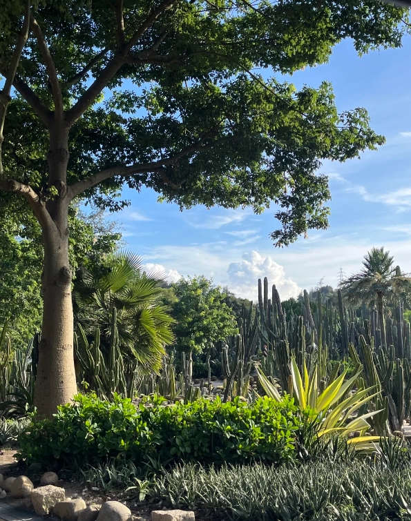 Xiamen Botanical Garden guide Xiamen Botanical Garden guide