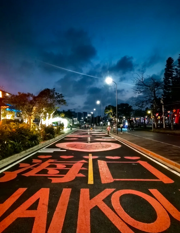 Haikou bars Haikou bars