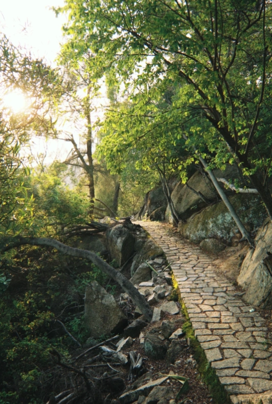 Xiamen Botanical Garden hours Xiamen Botanical Garden hours