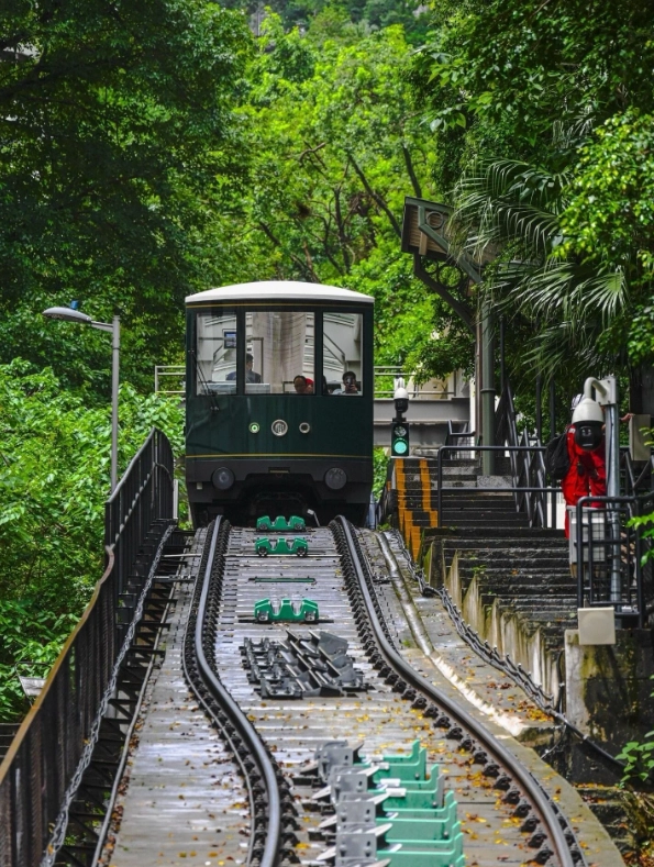 what to do in Hong Kong in spring what to do in Hong Kong in spring